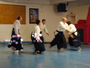 Ota-Aikido-Randori